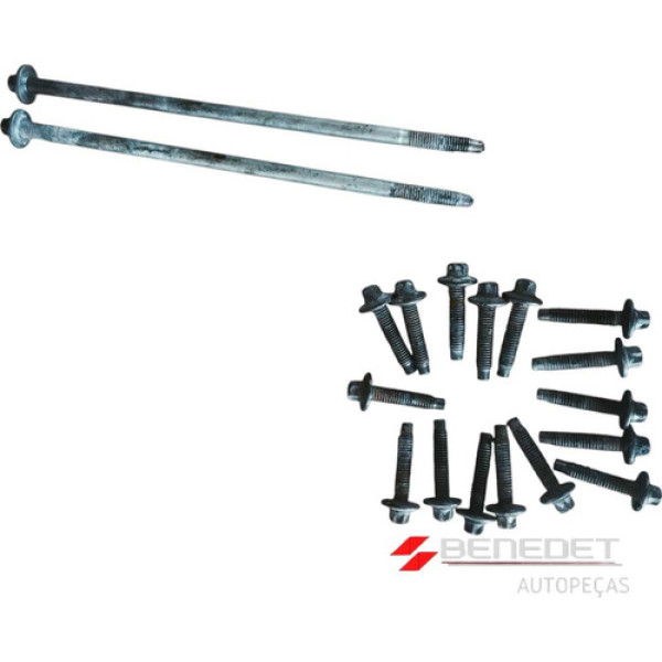 Conjunto De Parafusos Do Carter Renault 1.6 16v Clio Kangoo