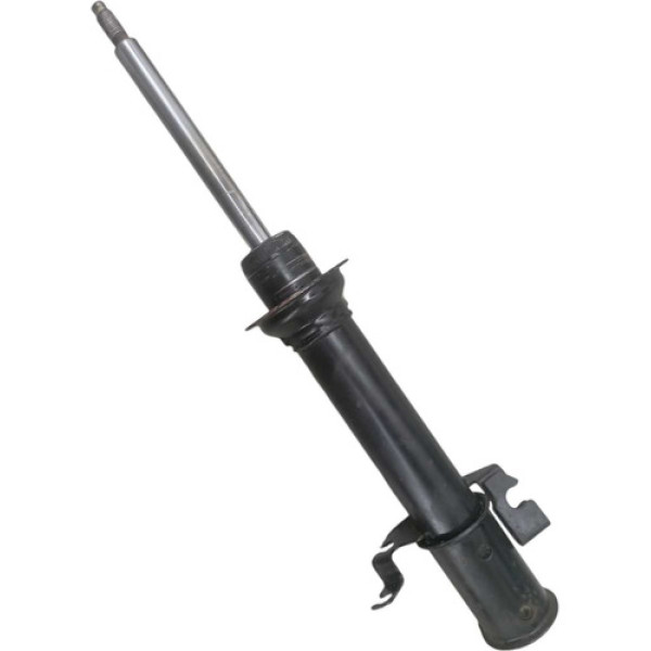 Amortecedor Dianteiro Renault Scenic Todos Megane Até 2005