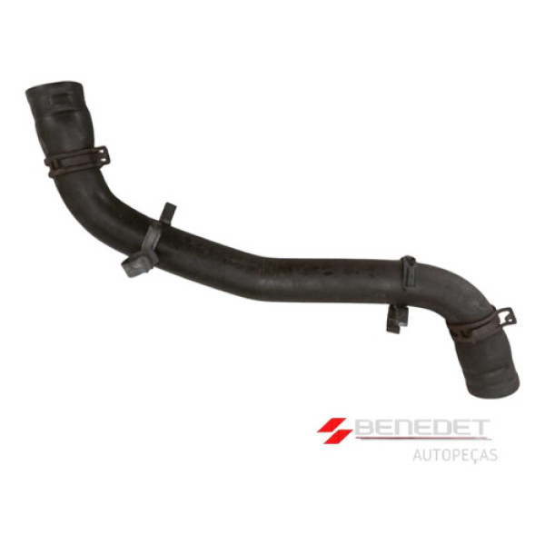 Mangueira Radiador Renault Clio