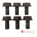 6 Parafusos Do Volante Do Motor Renault Clio 1.0 16v Gas.