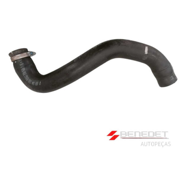 Mangueira Radiador Renault Kangoo 1.6 16v