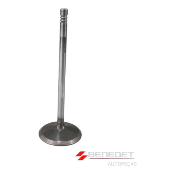 Válvula Admissão Ford Focus Fiesta Ecosport 1.6 8v Zetec