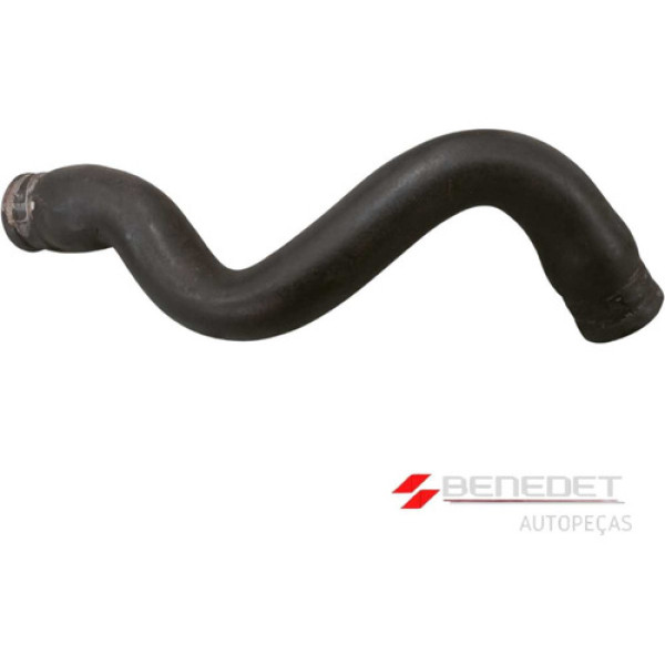 Mangueira Superior Radiador Renault Clio Kangoo 1.6 8v