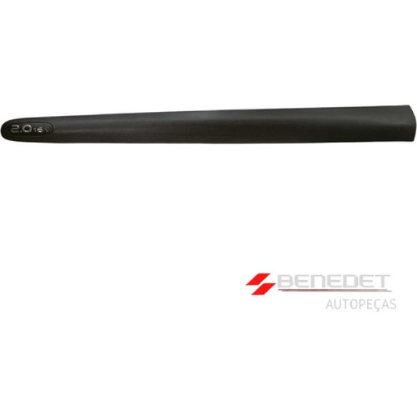 Friso Da Porta Dianteira  Esquerda Scenic 2.0 16v